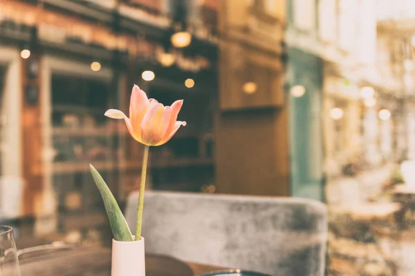 Tulipano in un vaso sul tavolo del caffè — Foto Stock