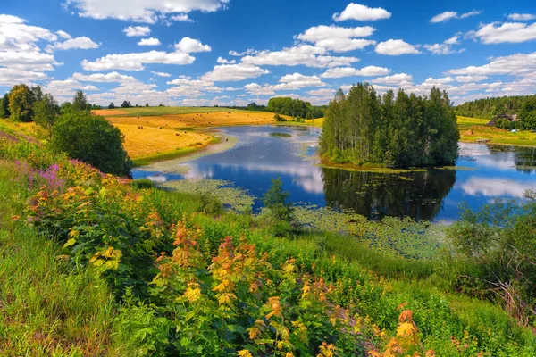 Rural landscape with a lake in summer — Stock Photo, Image