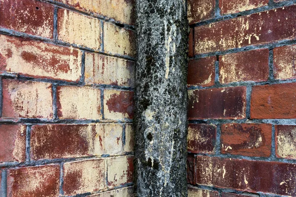 Tubo velho com musgo em uma parede de tijolo — Fotografia de Stock