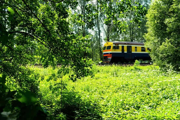 Der Zug fährt durch den Wald — Stockfoto