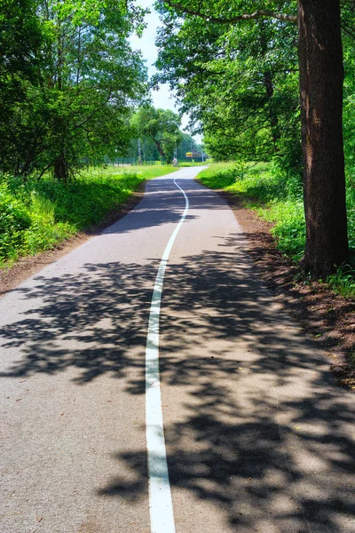 El carril bici atraviesa un bosque verde . —  Fotos de Stock