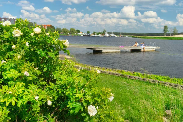 Meisjes ontspannen op de pier in de zomer — Stockfoto