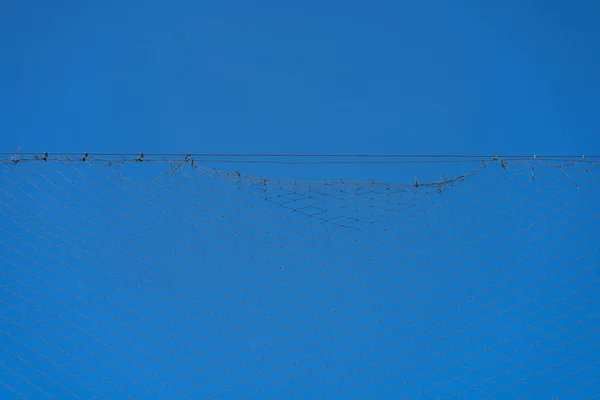 Grid on the wire against the sky — Stock Photo, Image