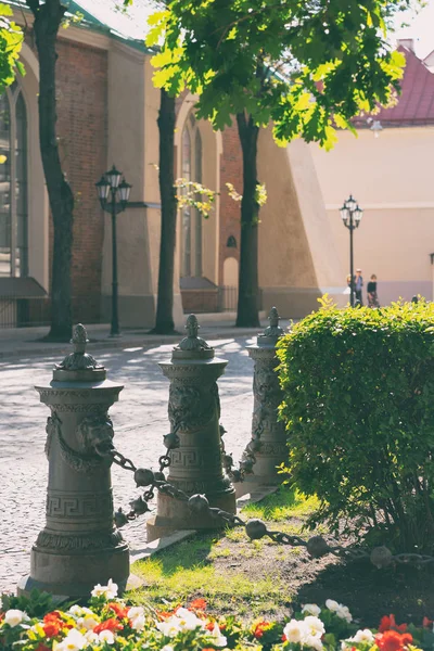 Улица с дубами в Старой Риге летом — стоковое фото