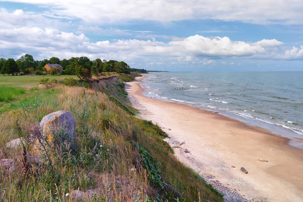 Високий берег Балтійського моря влітку — стокове фото