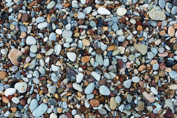 Steine am Ostseestrand im Sommer — Stockfoto