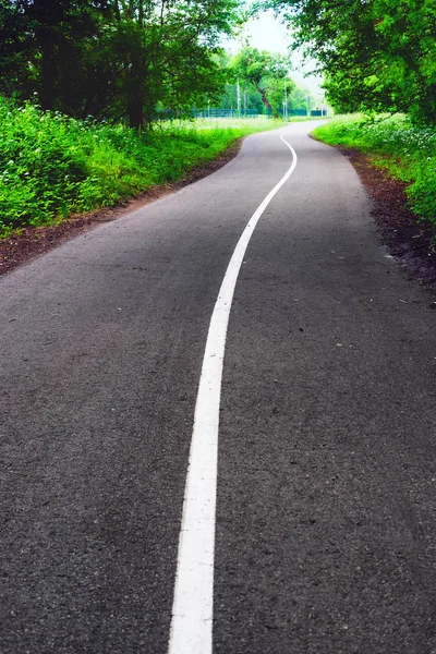 La pista ciclabile attraversa un bosco verde . — Foto Stock