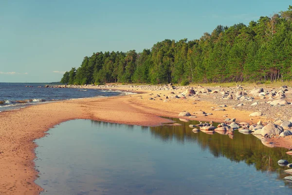 Písečné pobřeží Baltského moře ve Vidzeme — Stock fotografie