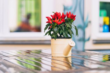 Seramik sulama kırmızı çilek ile olabilir