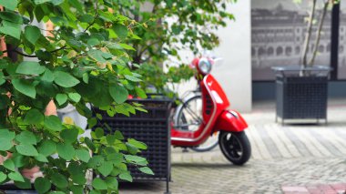 Bahçeye park etmiş kırmızı scooter.