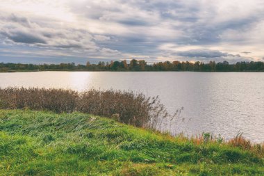 Göl kenarında renkli yaprakları olan sonbahar ormanı