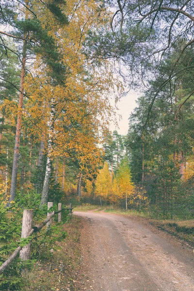 Garfo em um caminho de floresta — Fotografia de Stock