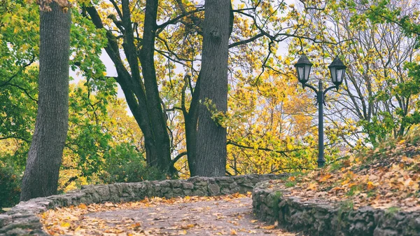 Otoño en el parque de Riga —  Fotos de Stock