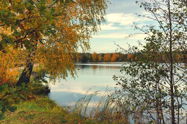 Осінній ліс з кольоровими листям біля озера — стокове фото