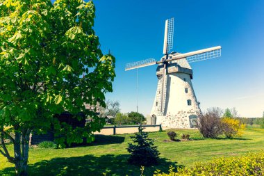 Baharda Letonya 'nın yeşil bir tepesinde kanatları olan antik değirmen. Değirmenin yanında leylek yuvası var. Gauja Ulusal Parkı. Letonya