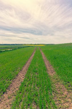Letonya 'nın bahar manzarasına tepeden bak.