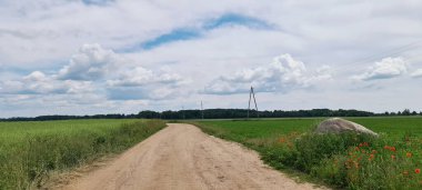 Letonya 'nın tarım arazileri arasındaki toprak yol. Güneşli yaz güneşli bir gün. Kırmızı gelincikler ve kır çiçekleri