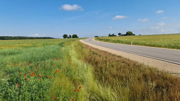 Camino Asfalto Entre Los Campos Agrícolas Letonia Día Soleado Verano —  Fotos de Stock