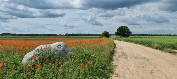 Dirt Road Agricultural Fields Latvia Sunny Summer Bright Day Red — Stock Photo, Image