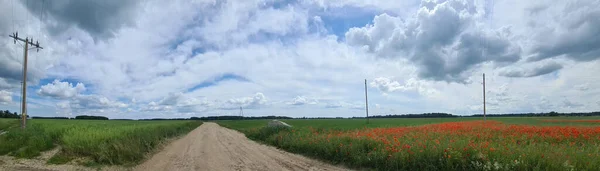 Estrada Terra Entre Campos Agrícolas Letónia Verão Ensolarado Dia Brilhante — Fotografia de Stock