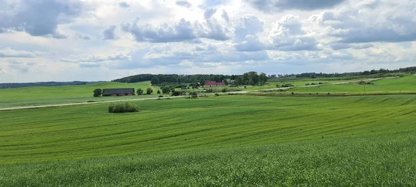 Campo verde agrícola para o horizonte. — Fotografia de Stock