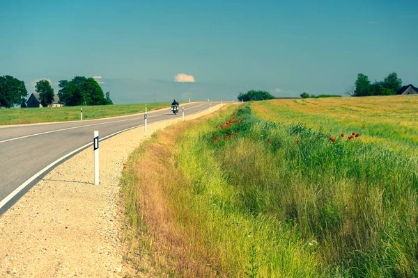 Camino Asfalto Entre Los Campos Agrícolas Letonia Día Soleado Verano —  Fotos de Stock