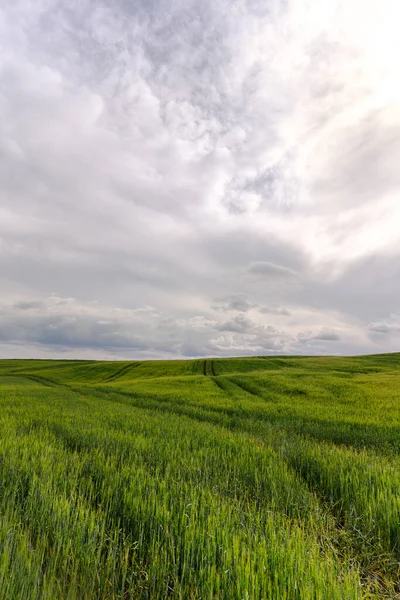 Escalando Uma Colina Com Grama Verde Você Verá Paisagem Dos — Fotografia de Stock