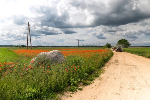 Chemin Terre Entre Les Champs Agricoles Lettonie Ensoleillé Jour Lumineux — Photo