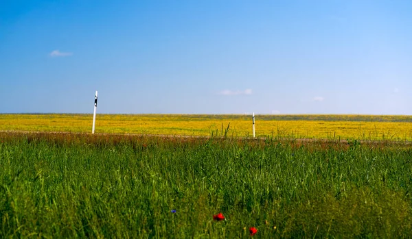 Uma Estrada Com Duas Colunas Num Campo Agrícola Alternando Linhas — Fotografia de Stock