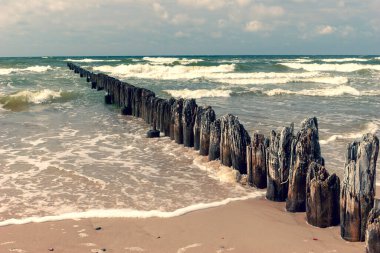 Baltık 'ta eski bir ahşap iskelenin yığınları. Balıkçı tekneleri için kumlu sahilde ahşap bir iskelenin kalıntıları. Kurzeme 'de Letonya kıyılarında güzel dalgalar