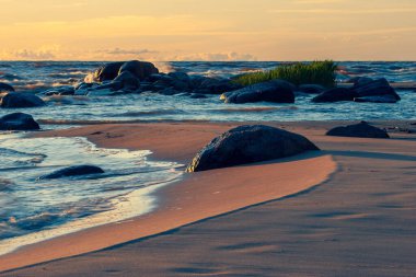Baltık Denizi 'nin kumlu sahillerinde, gün batımında fırtınada büyük taşlar eşliğinde dalgalar. Dalgalar altın kumda erir.