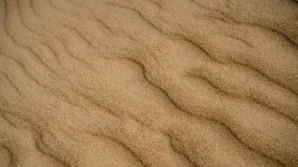Areia Amarela Mar Puro Com Alívio Ondas Primavera Báltico — Fotografia de Stock