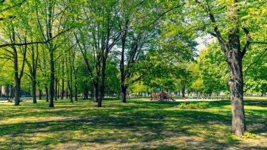 Güneşli baharda boş Riga parkları