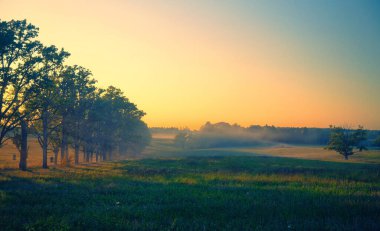 Gün batımında tozlu meşe sokağında bir araba.