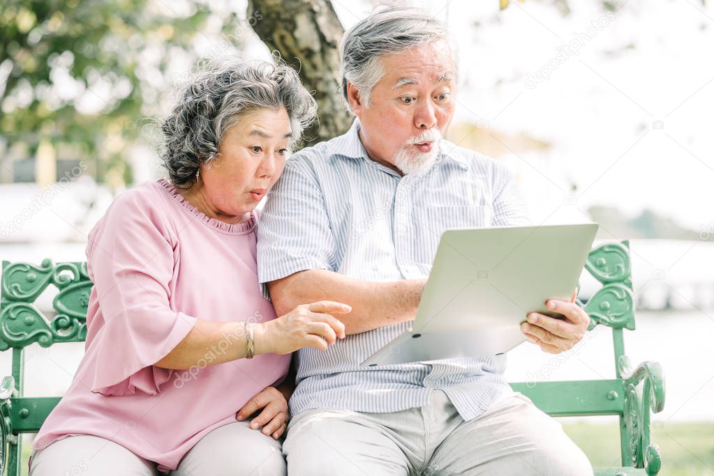 Senior Asian couple feeling surprised and excited while looking at laptop screen in the park