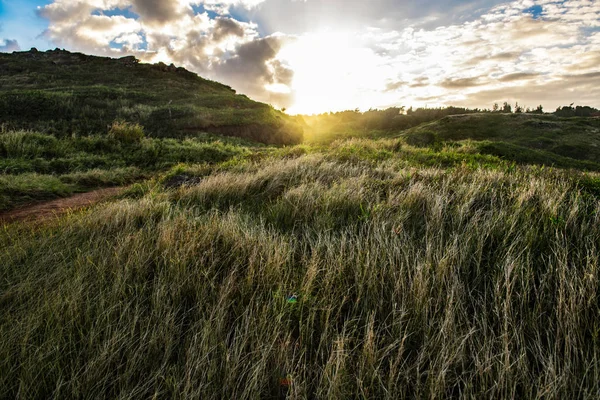 Rüzgar Günbatımı Zaman Tepelerde Yüksek Çim Ile Sakin Huzurlu Yeşil — Stok fotoğraf