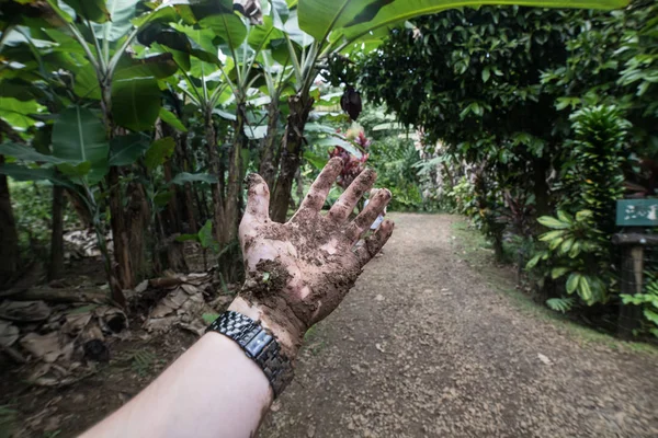 Smutsig Hand Full Smuts Tropiska Skog Spår — Stockfoto