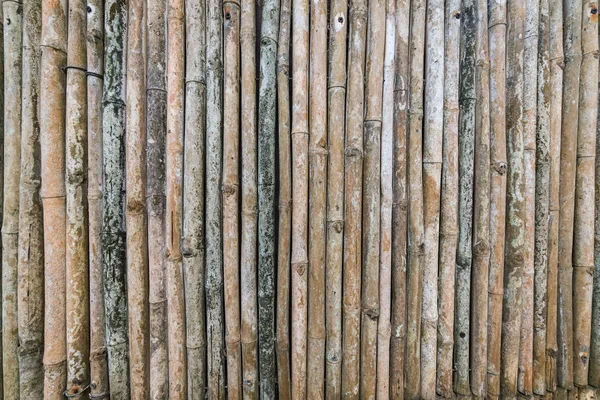 古いヴィンテージの竹飾り用の囲い壁背景を乾燥します — ストック写真