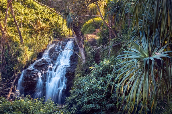 Tropical waterfall on Hawaii tropical island in jungle forest