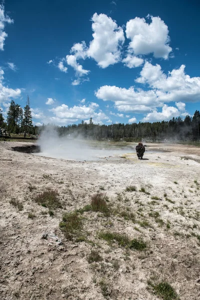 Bisons Auf Geysiren Malerischen Yellowstone Nationalpark Sommer — Stockfoto