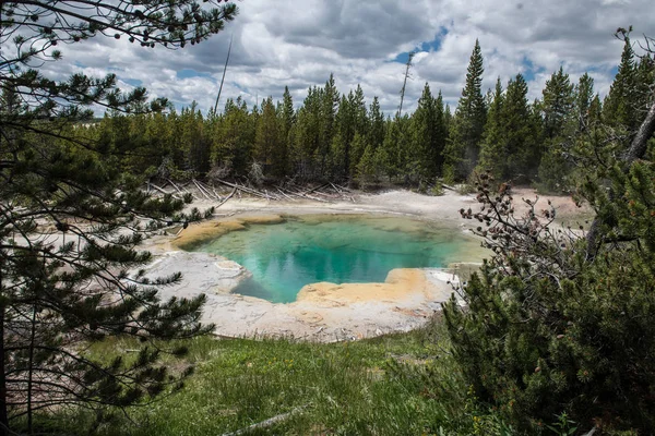 Bunte Geysirkrater Yellowstone Nationalpark Sommer — Stockfoto