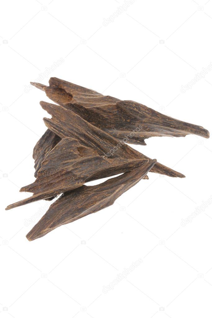Selective Focus, Sticks Of Agar Wood Or Agarwood Background The Incense Chips Used By Burning for incense & perfumes of essential oil as Oud Or Bakhoor