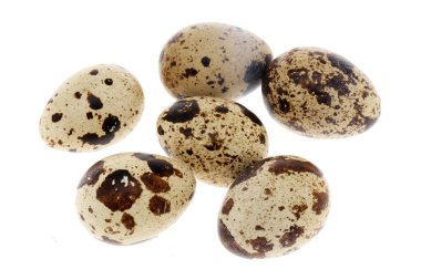 Bıldırcın yumurtaları beyaz arka planda izole edilir.