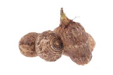 Beyaz arbi ya da Aravi kökleri üzerinde tek kesikli tatlı taro kökü grubu