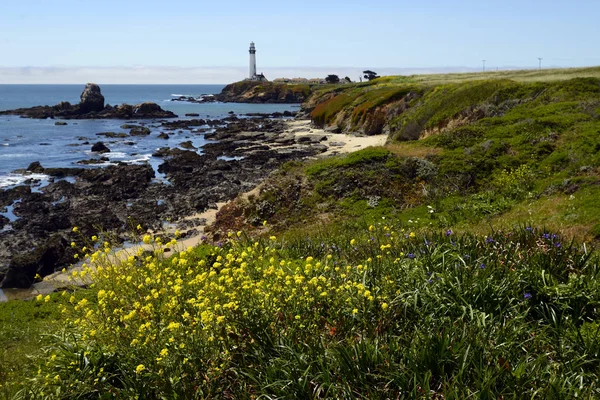 ピジョン ポイント灯台 カリフォルニア州ダベンポート近郊のハイウェイ に沿って 北カリフォルニアの海岸に位置します — ストック写真