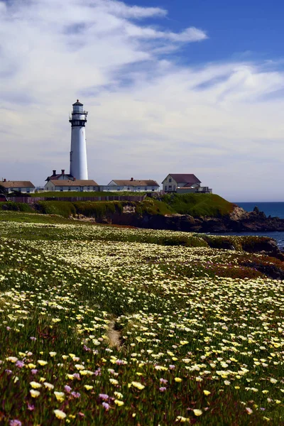 Pigeon Point Lighthouse Położony Wybrzeżu Kalifornii Północnej Wzdłuż Hwy Pobliżu — Zdjęcie stockowe