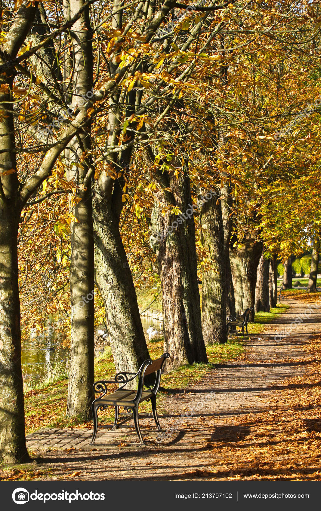 Beautiful Nature Autumn Season Denmark — Stock Photo © jeancliclac Beautiful Nature Autumn Season Denmark — Stock Photo © jeancliclac