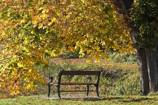 Vacker Natur Höstsäsongen Danmark — Stockfoto