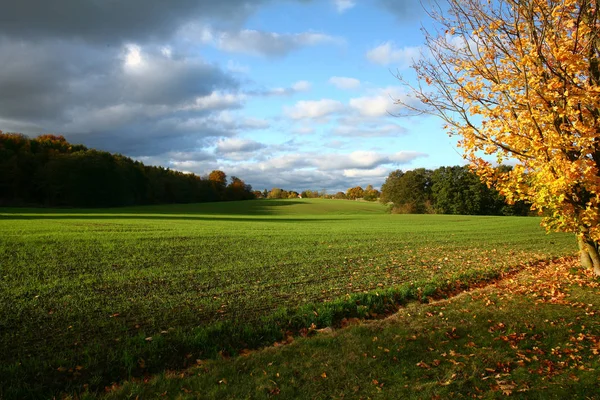 Barvitý Pohled Podzimní Sezóna Dánsku — Stock fotografie