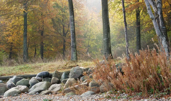 Färgglada Natur Och Utsikt Från Höstsäsongen Danmark — Stockfoto